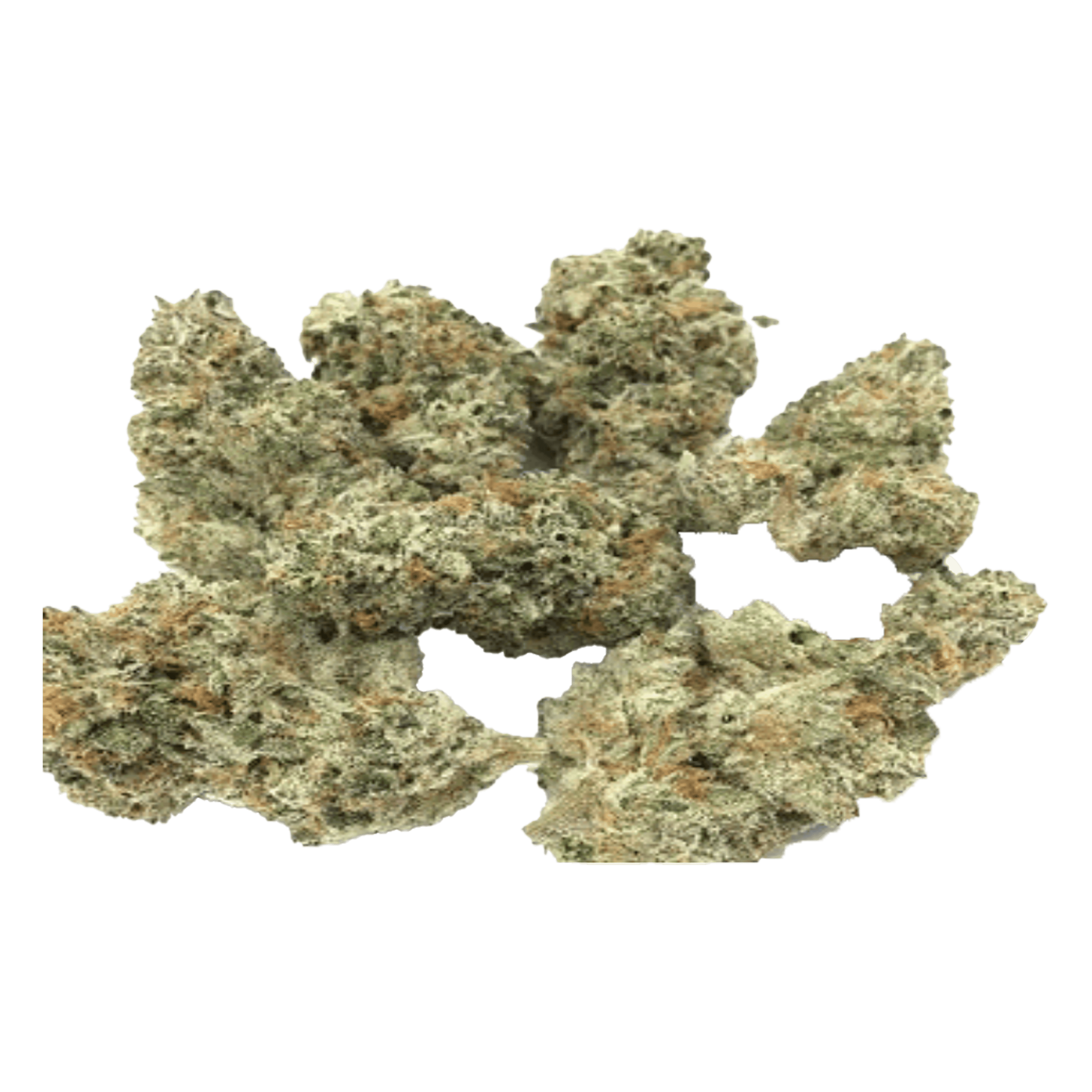 Yuzu Runtz - Jar - Indoor Flower - UpNorth - Eighth - $44.99 - 4mo+ Flower (Date in Description)