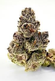 Cherry Martinelli (H) - Fig Farms - eighth - $50 - Flowers