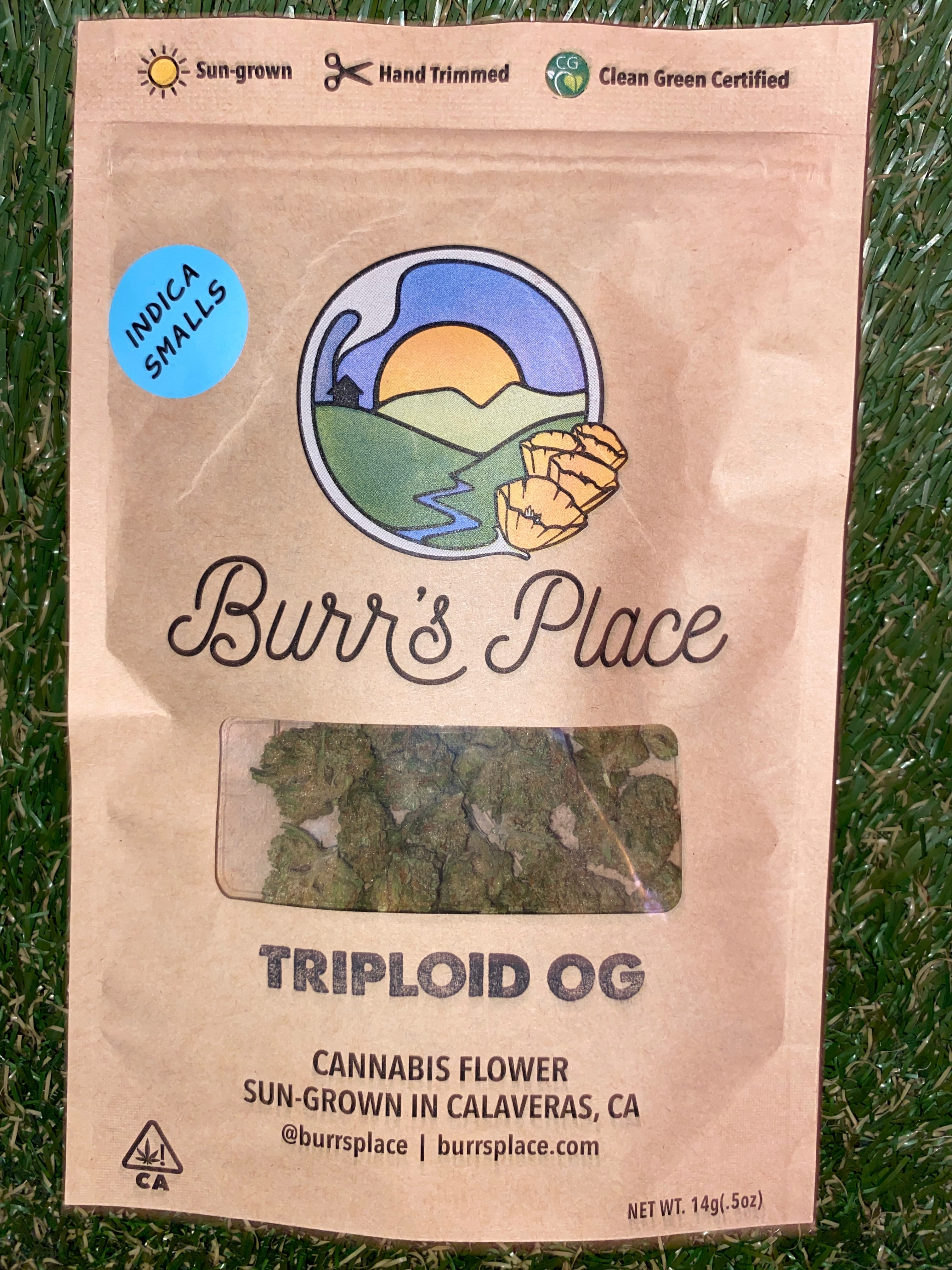 TRIPLOID 14G SMALLS - BURR'S PLACE -  - $30.10 - Flower