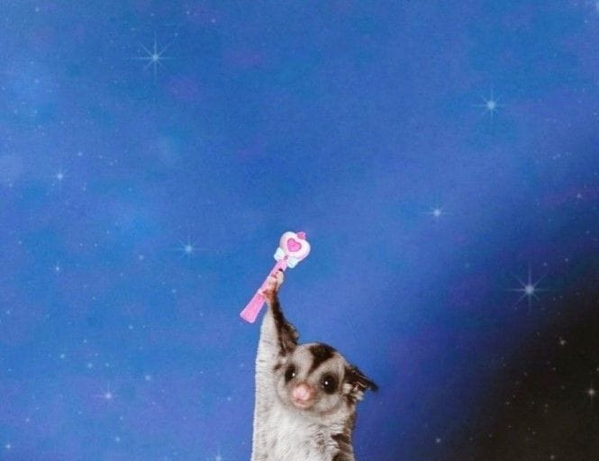 Jack 1g High Potency Cartridge - Jetty -  - $33.65 - Vaporizer