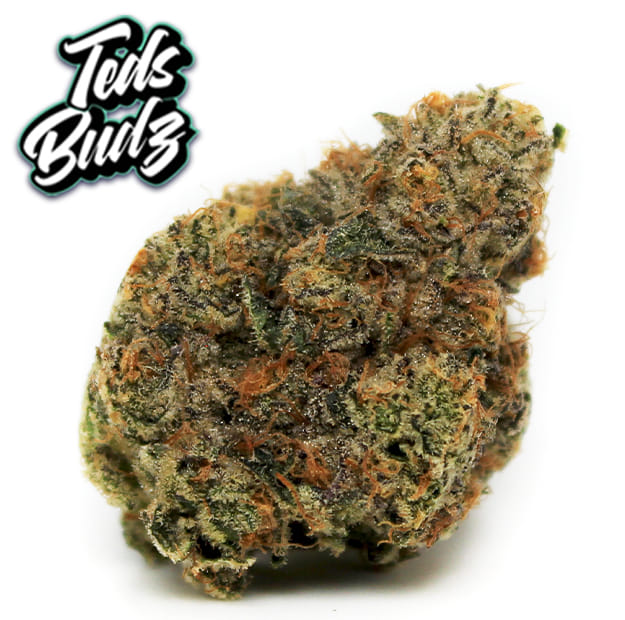 Teds Budz - Mahalo Marshmallow - 3.5g - Teds Budz -  - $59.99 - Exotic Genetics