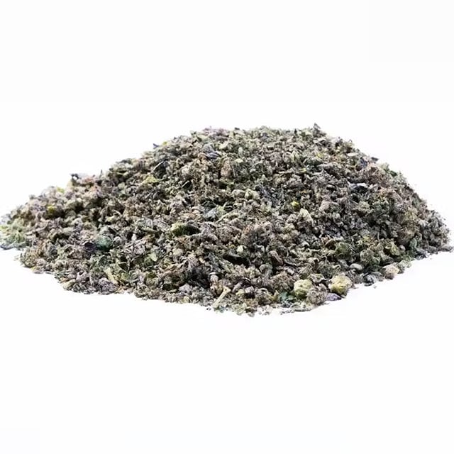 Original Intelligence Candy Land 7g Sugar Shake