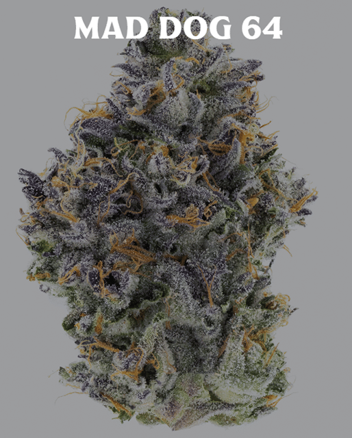 Mad Dog 64 | 3.5g Flower