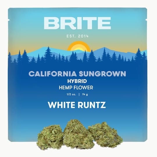 Brite Labs — Hybrid