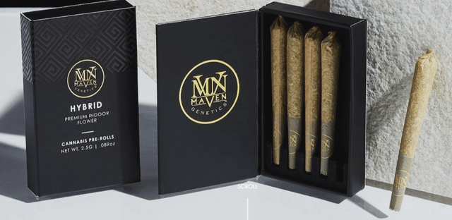 Maven Genetics — New Money