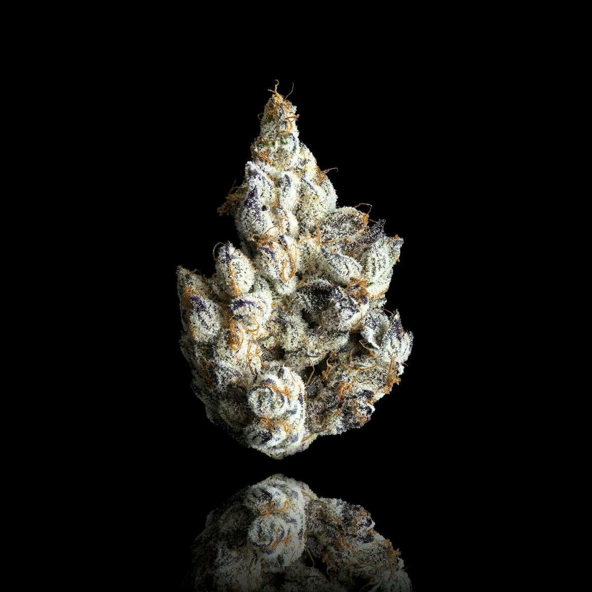 Maven | 1.9g - French Diamonds - Halo - Maven Genetics -  - $28 - Pre-Rolls