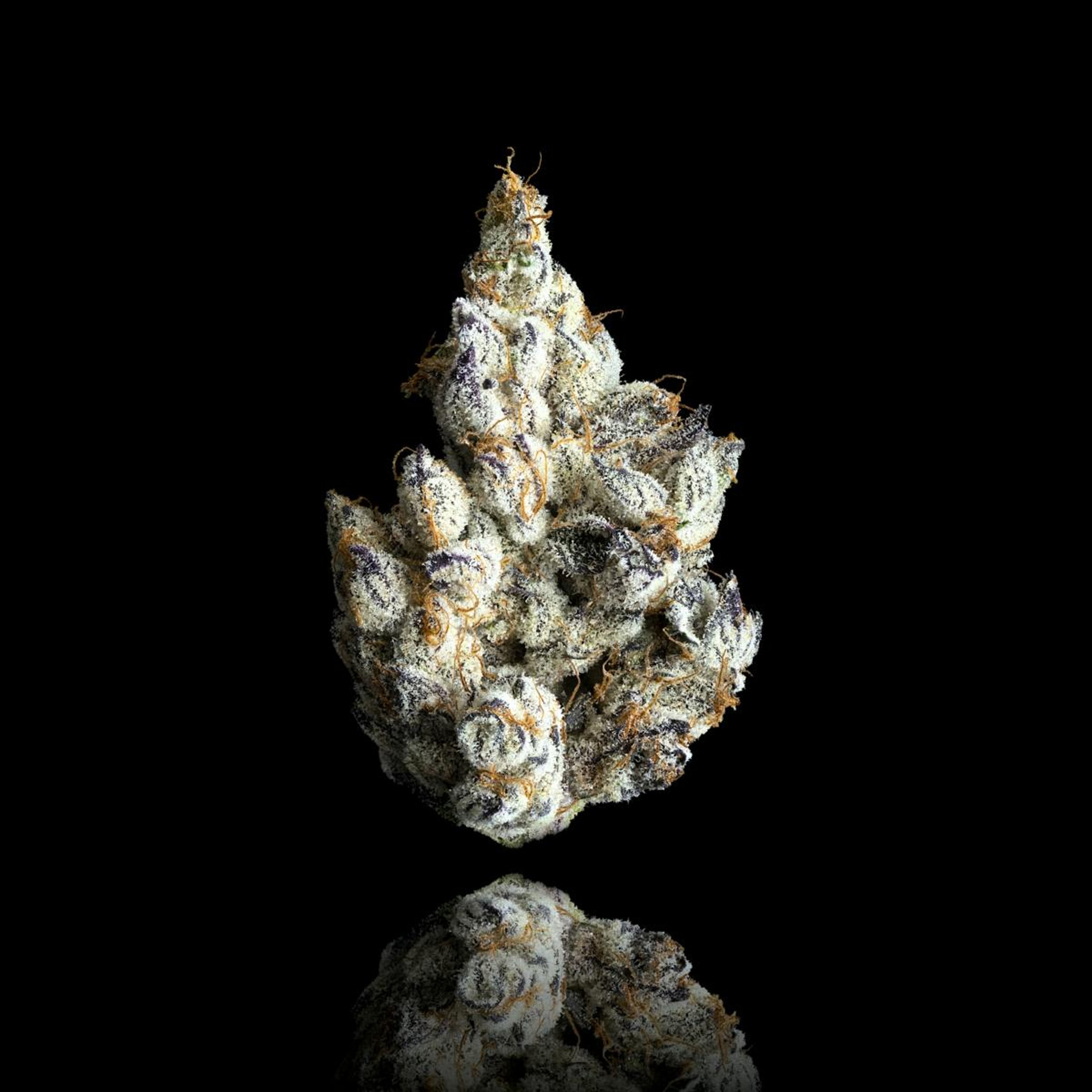 Maven | 1.9g - French Diamonds - Halo - Maven Genetics - - $28 - Pre-Rolls
