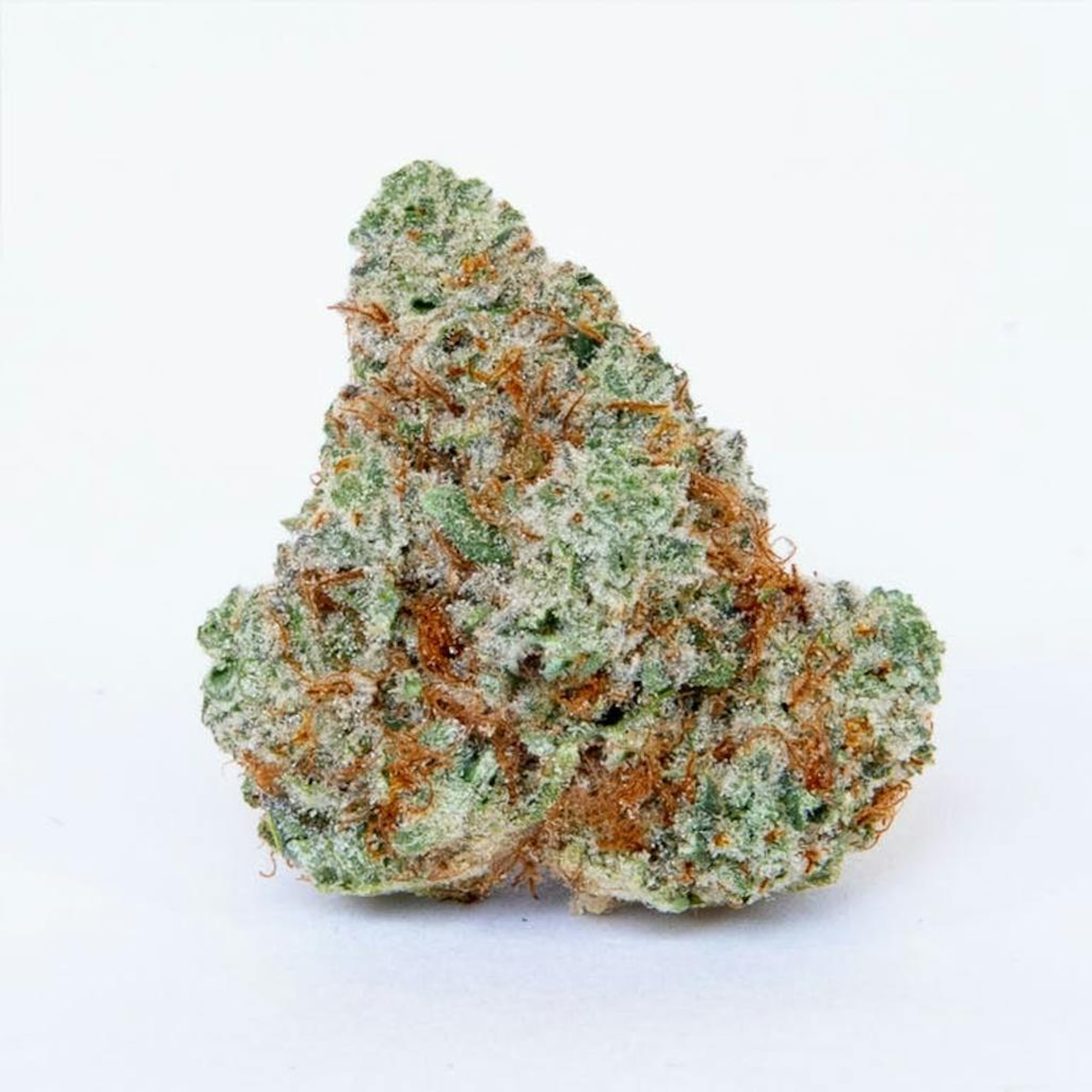 Spanish Lime Haze - 3.5g - Pure Beauty - 3.5g - Sativa - $46 - Flower/Infused Flower (3.5 Grams)