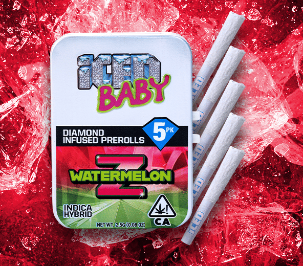 ICED: Watermelon Z