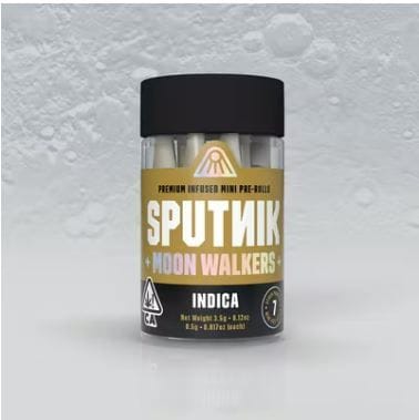 Sputnik: Moon Walkers