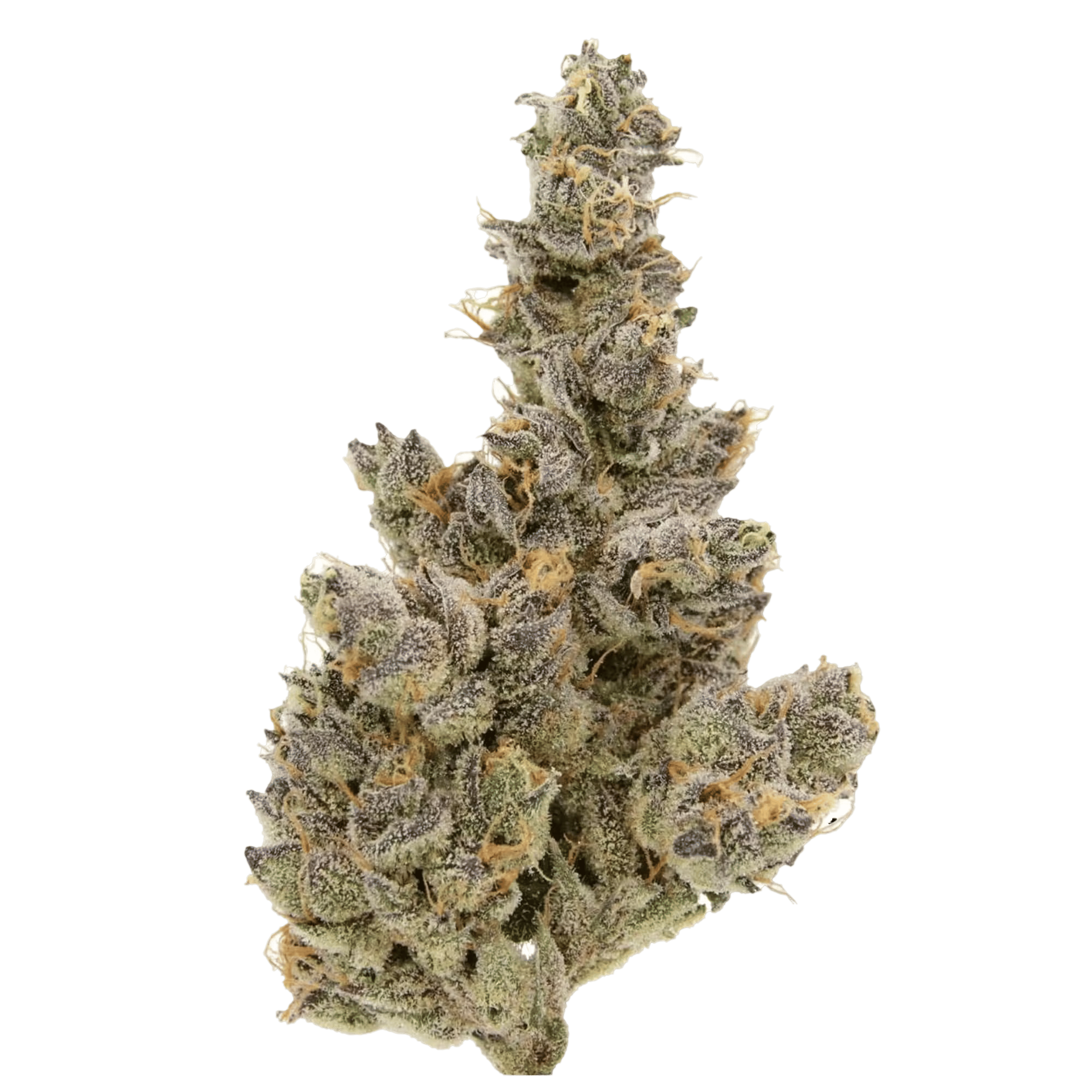Sour Diesel - Jar - Indoor Flower - Sense - Eighth - $49.99 - Flower