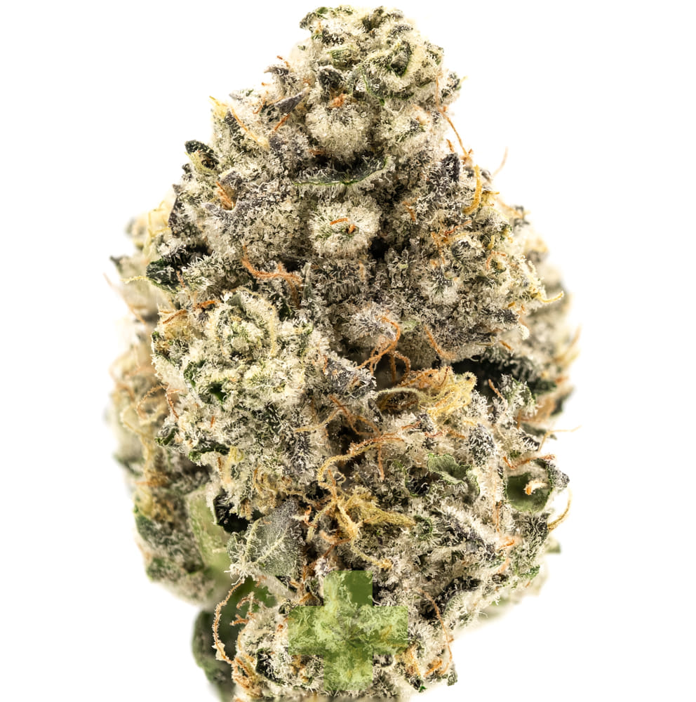 Aura — D OG