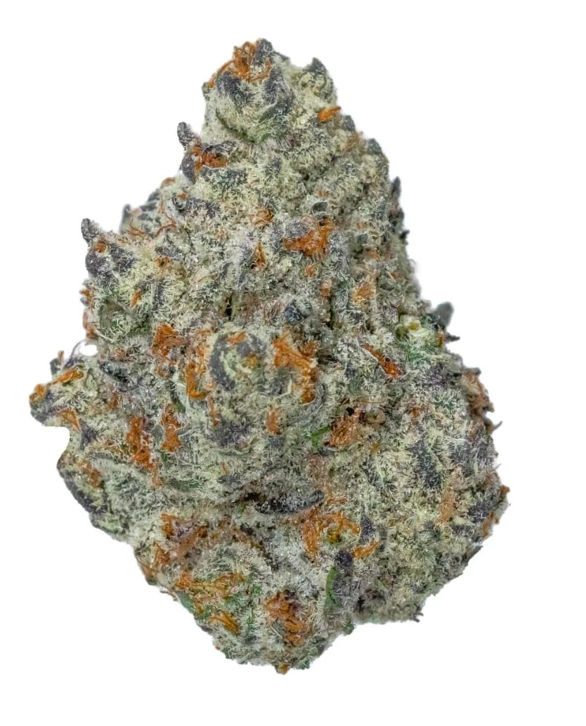 Ice Cream Pie 14g - Dubs Green Garden -  - $99.99 - Flowers
