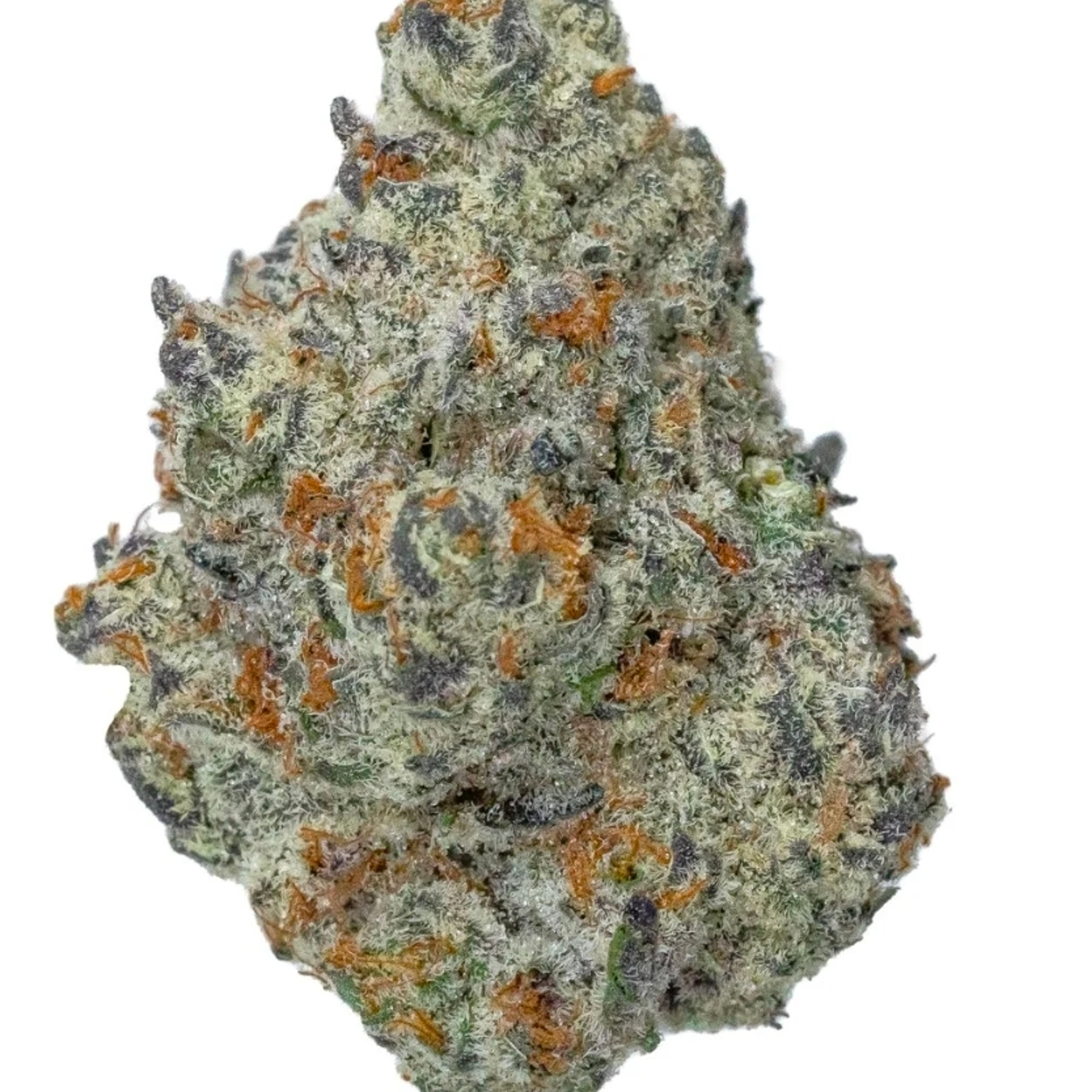 Ice Cream Pie 14g - Dubs Green Garden - - $99.99 - Flowers