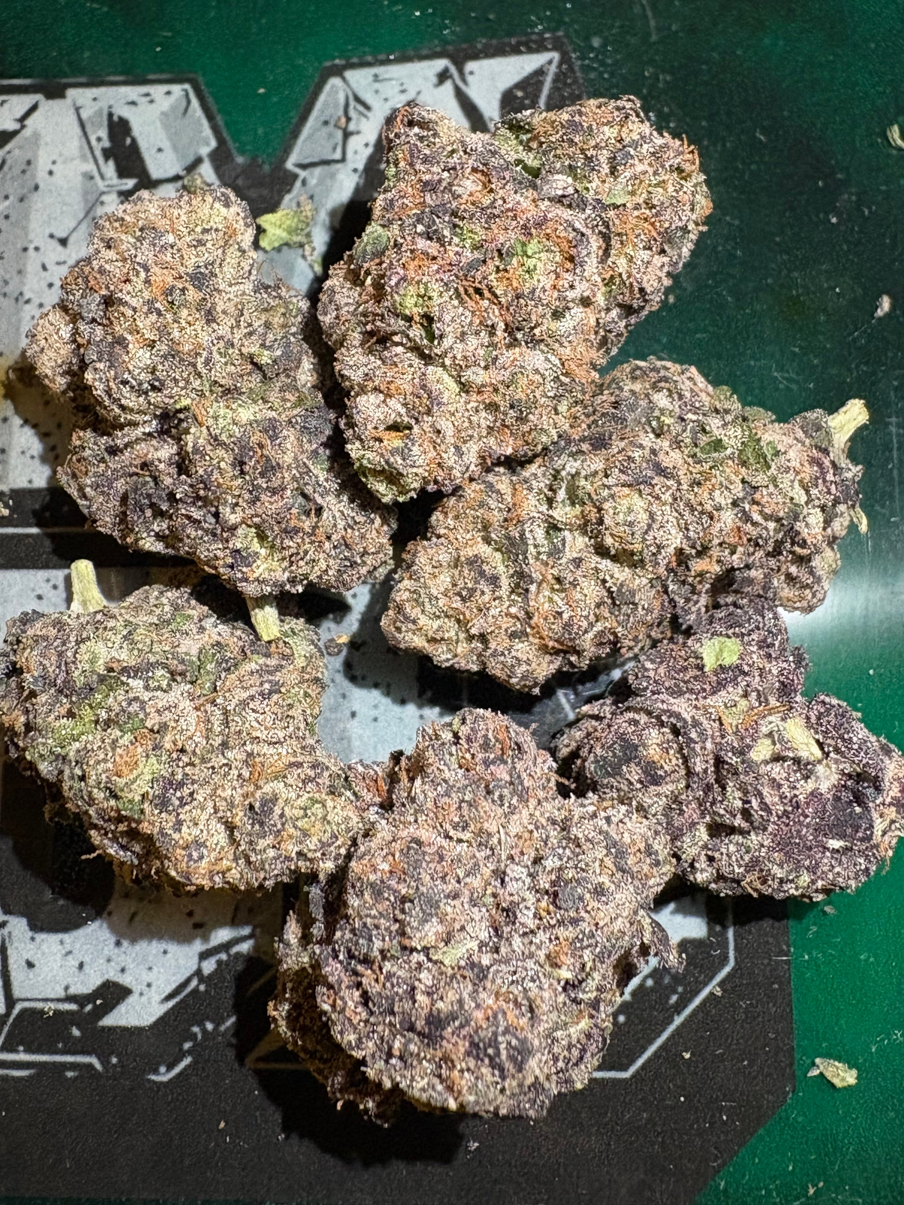 $50 Indoor Flower 14g  - Black Cherry Gelato 33% THC (Top Shelf Indoor) - Tasty Farms -  - $50 - Flowers
