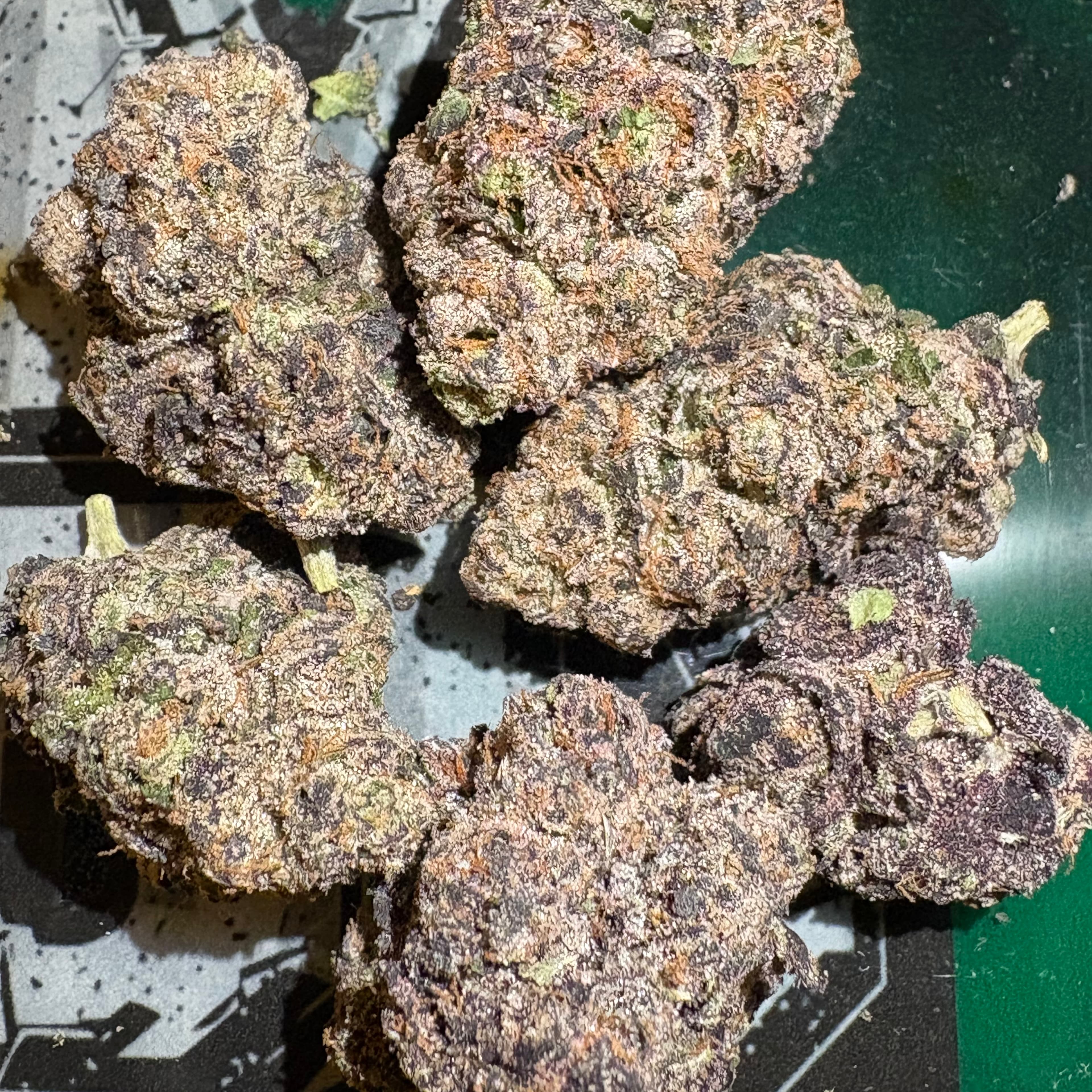 $50 Indoor Flower 14g - Black Cherry Gelato 33% THC (Top Shelf Indoor) - Tasty Farms - - $50 - Flowers