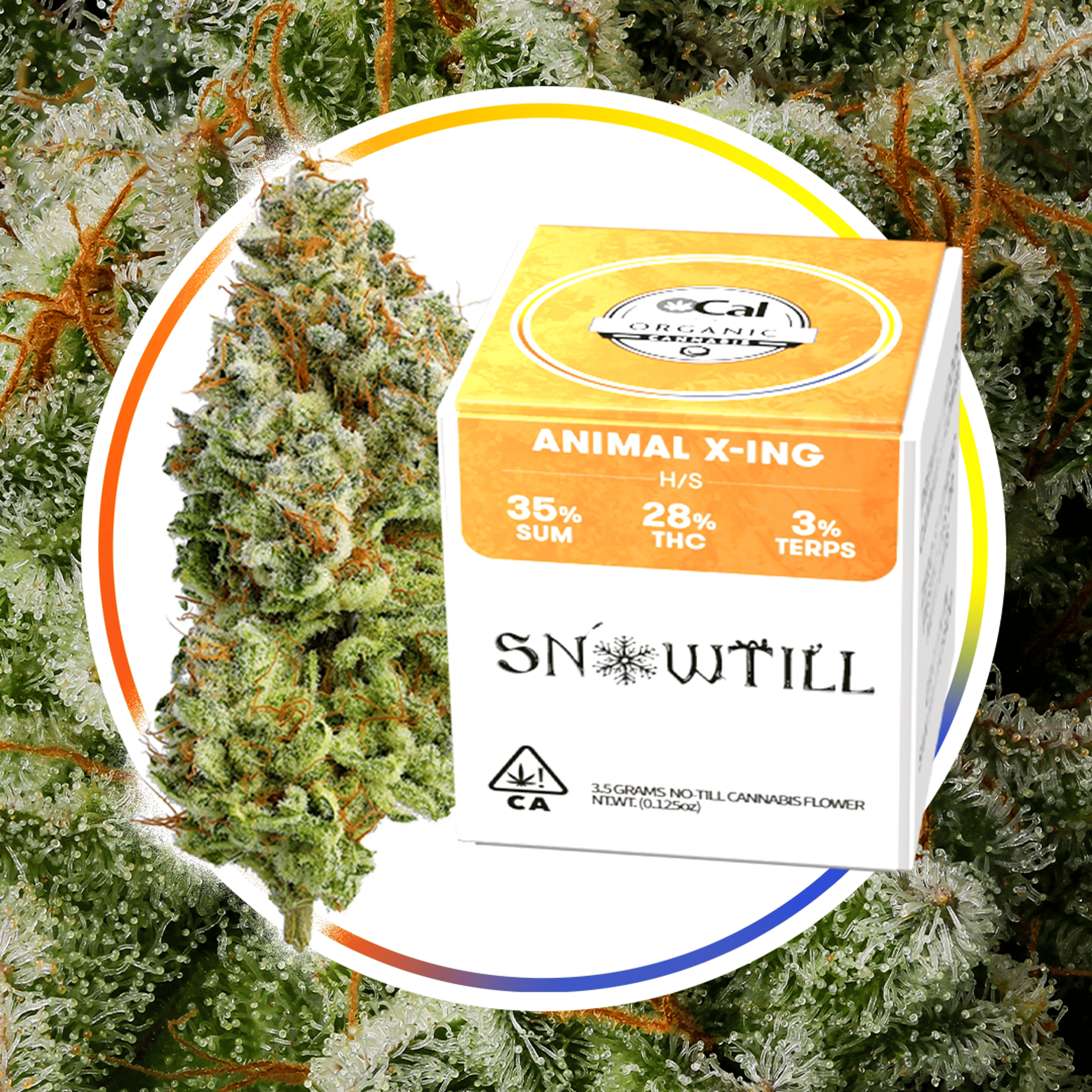 ***Animal X-ing - 3.5g - SNOWTILL - 3.5g - Sativa Dom - $58 - Flower/Infused Flower (3.5 Grams)