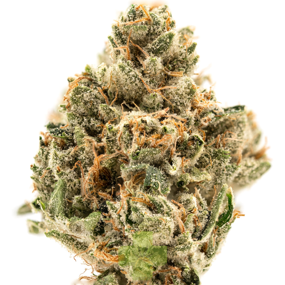 Northern Emeralds — OG