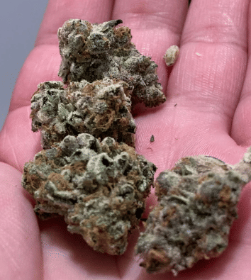 Up North — Blue Dream