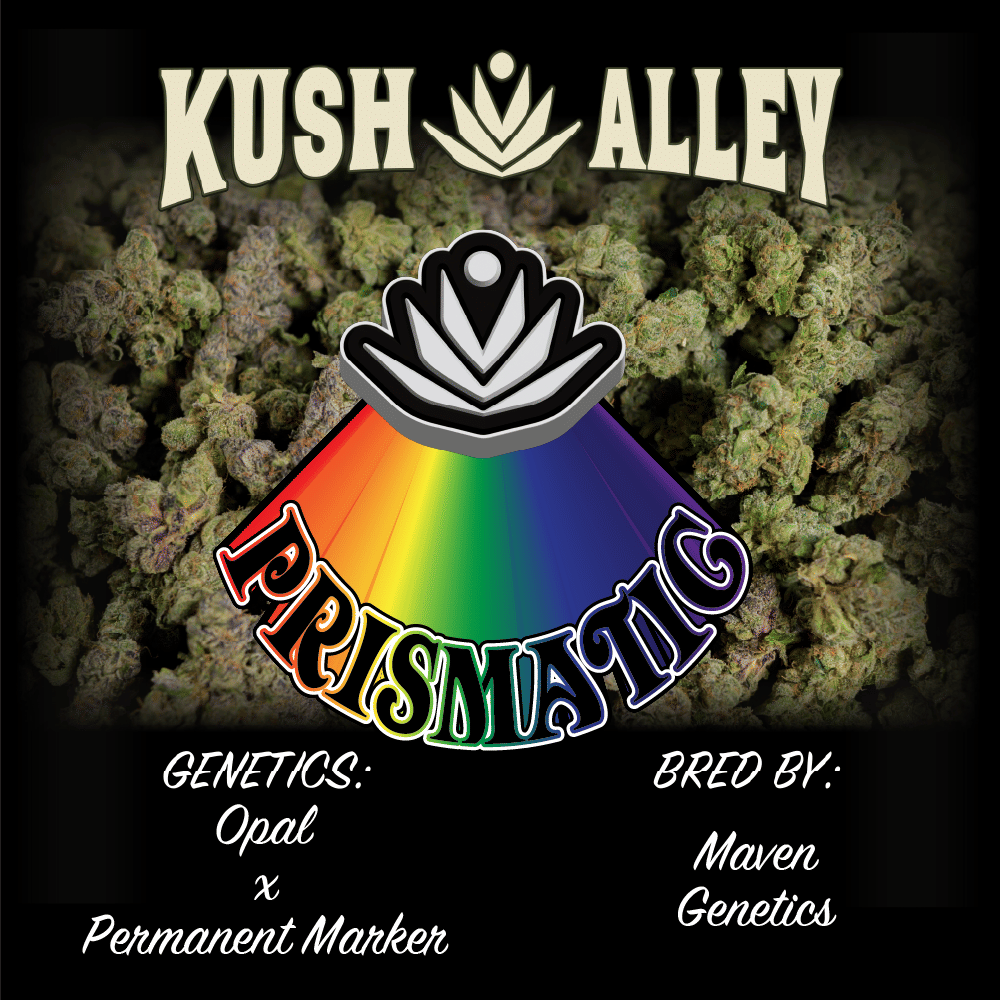 Prismatic - Kush Alley Premium - 4 Grams - $35 - Flower