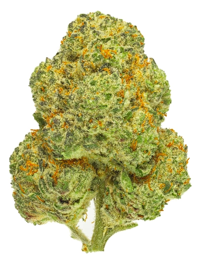 Mango Kush 14g (large buds) - Dubs Green Garden -  - $99.99 - Flowers