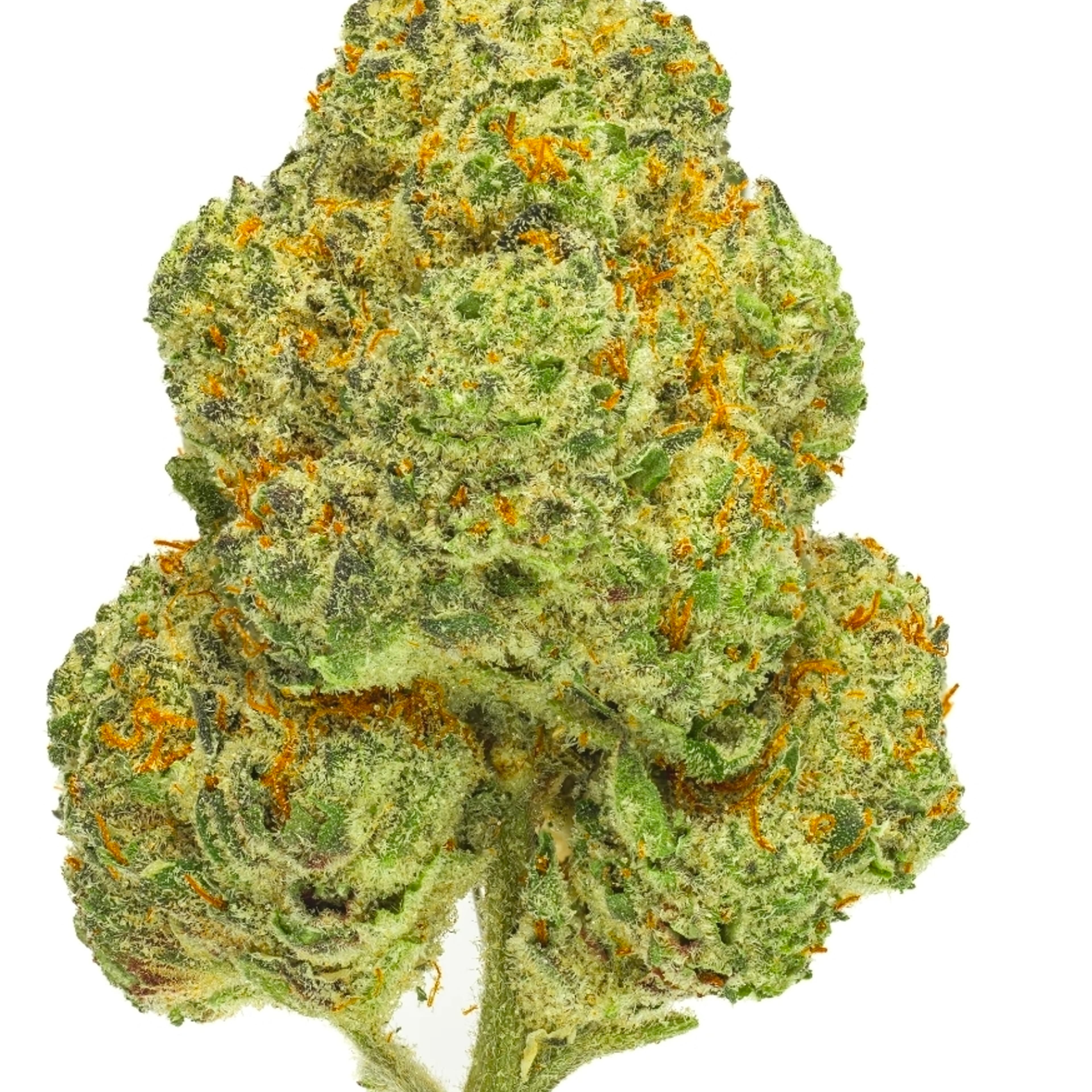 Mango Kush 14g (large buds) - Dubs Green Garden - - $99.99 - Flowers