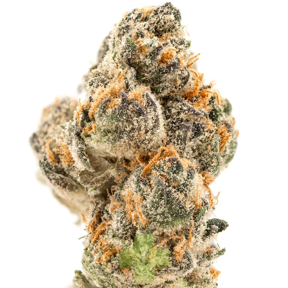 Cookies — Moonwalkers