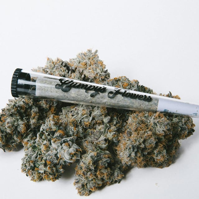 Purple Petro | 1g Pre-Roll