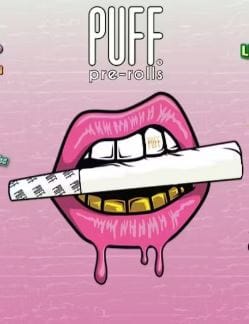 Blue Cheese 1G Non Infused Preroll - Puff (WCT) -  - $3.58 - Preroll