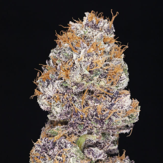 Blackberry JAH 🍉🫐