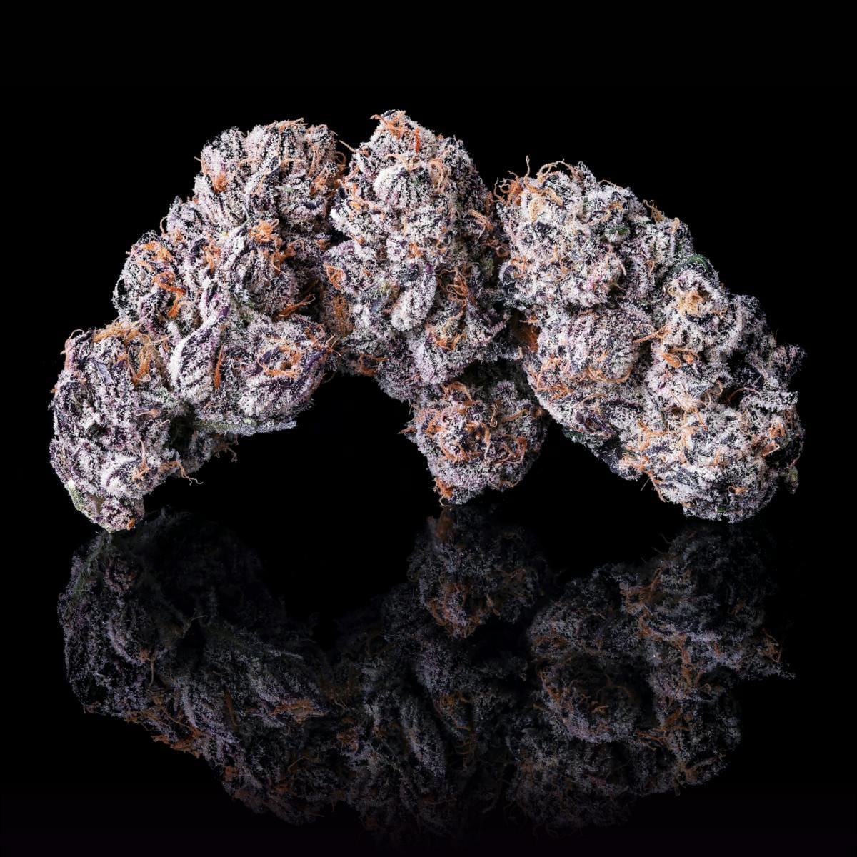 New Money Goldies Infused Pre-Rolls 5-Pack [3g] - Maven Genetics -  - $25.21 - Pre-Rolls