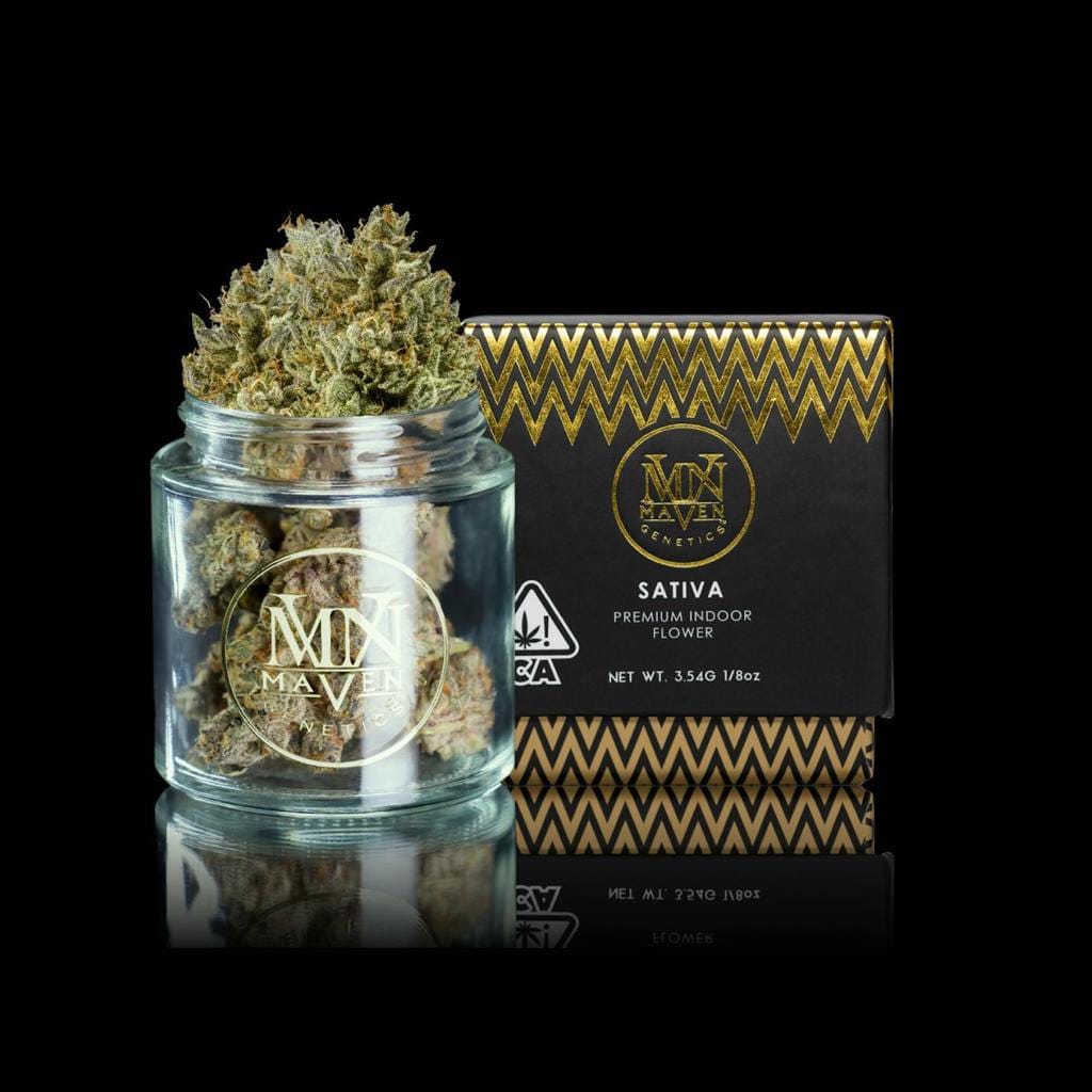 Maven Genetics — Sativa