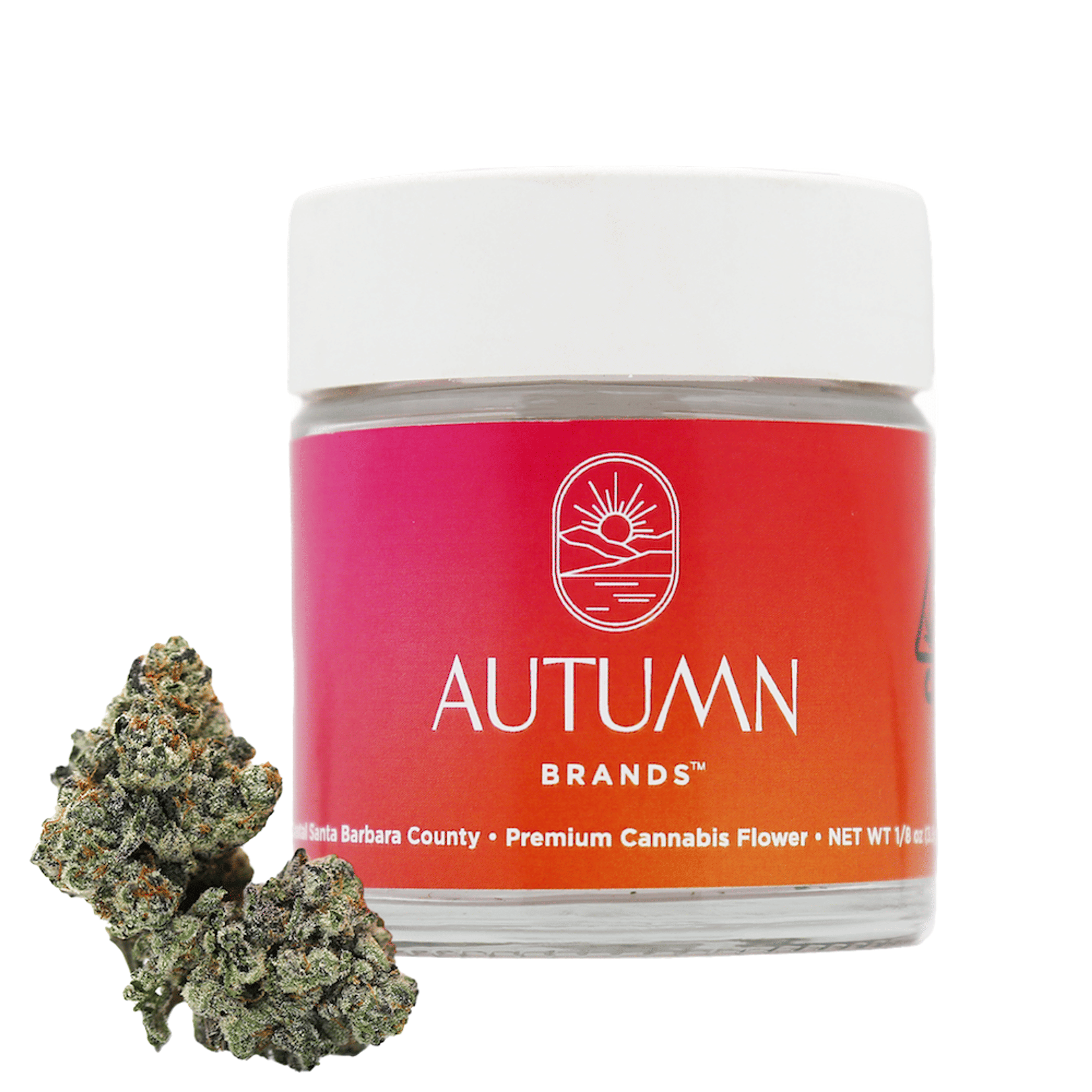 Purple Carbonite (3.5G) - Autumn Brands - - $25 - Flower