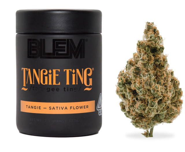 BLEM — Tangie Ting