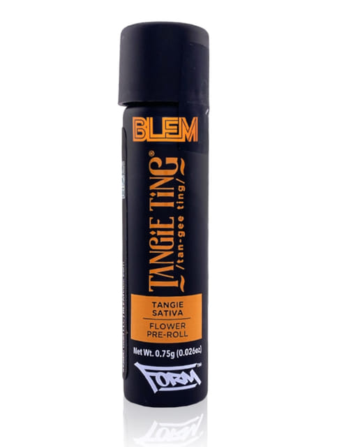 BLEM — Tangie Ting
