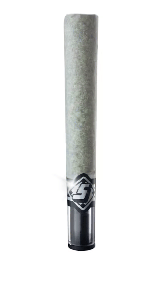 Sluggers Hit — Euphoria