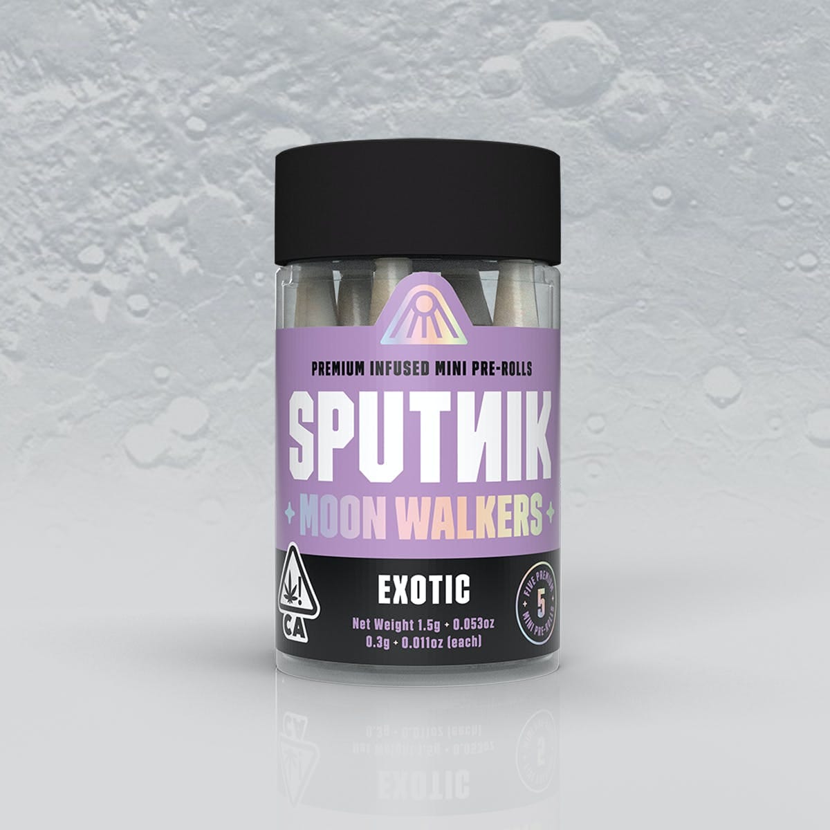Sputnik: Moon Walkers