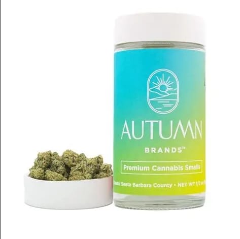 Blueberry Pancakes 14g - Autumn Brands -  - $58 - Flower