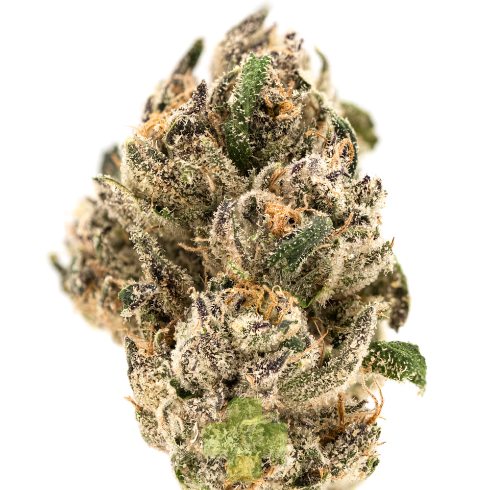 Northern Emeralds — Amethyst Kush