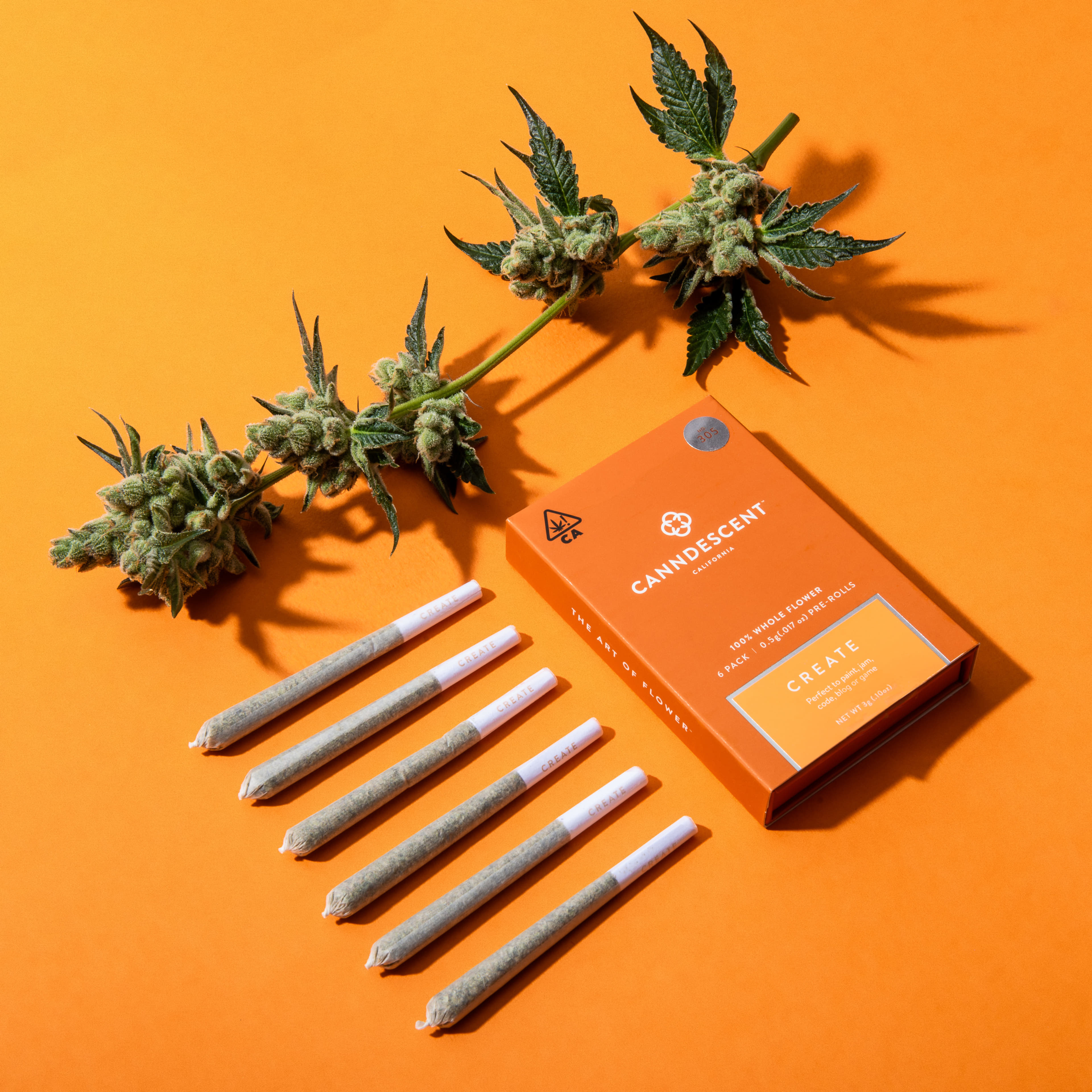 6PK CREATE PREROLLS - Canndescent - - $32.05 - Pre-Rolls