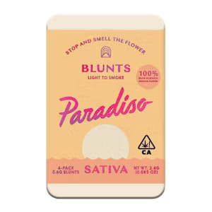 Mango Haze - Blunts - Paradiso - 2.4g (4-Pack) - $34.99 - Infused Pre-Rolls