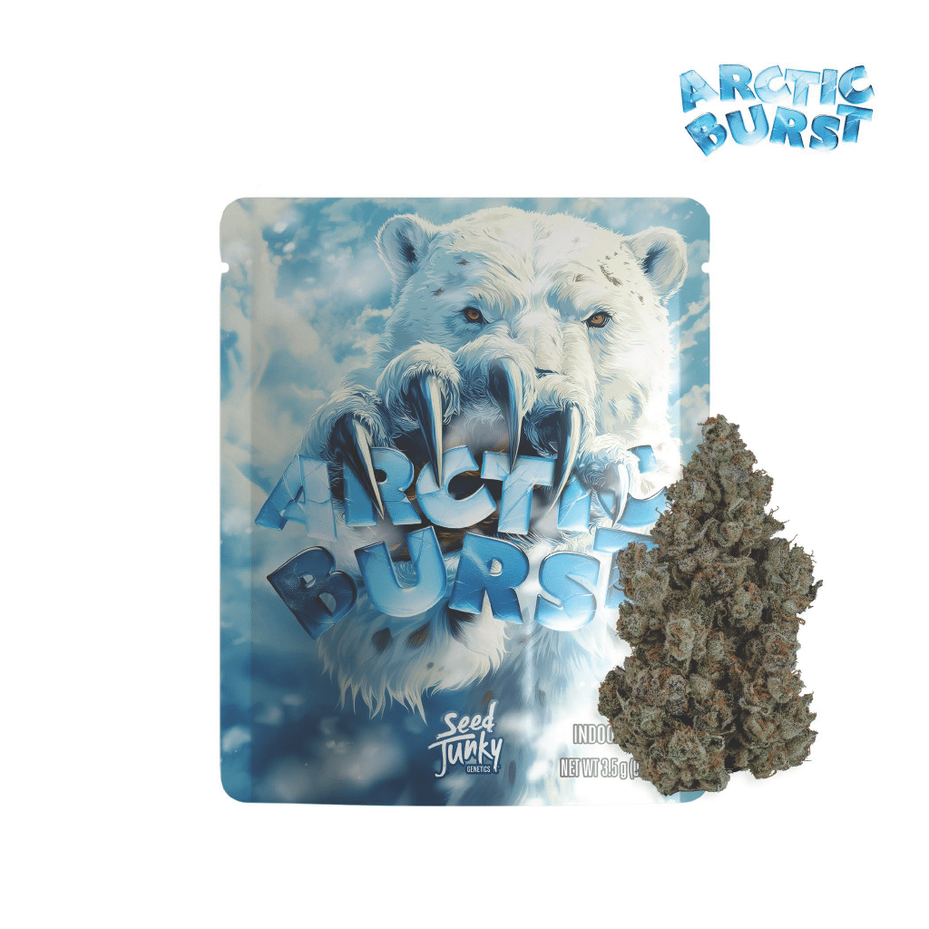 SEED JUNKY: Arctic Burst