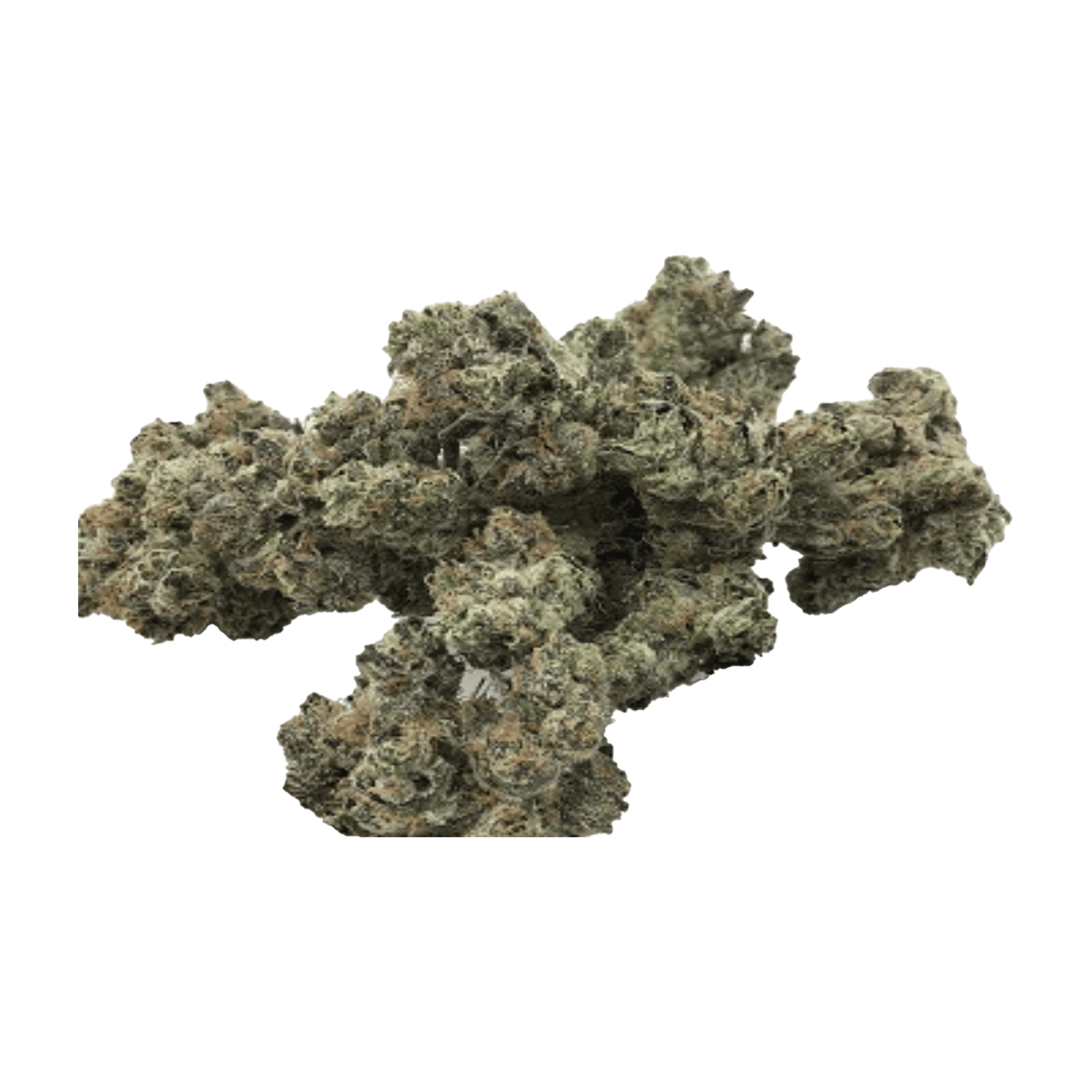 Dragonglass - Jar - Indoor Flower - Daze Off Powered by UpNorth - Eighth - $31.49 - 4mo+ Flower (Date in Description)