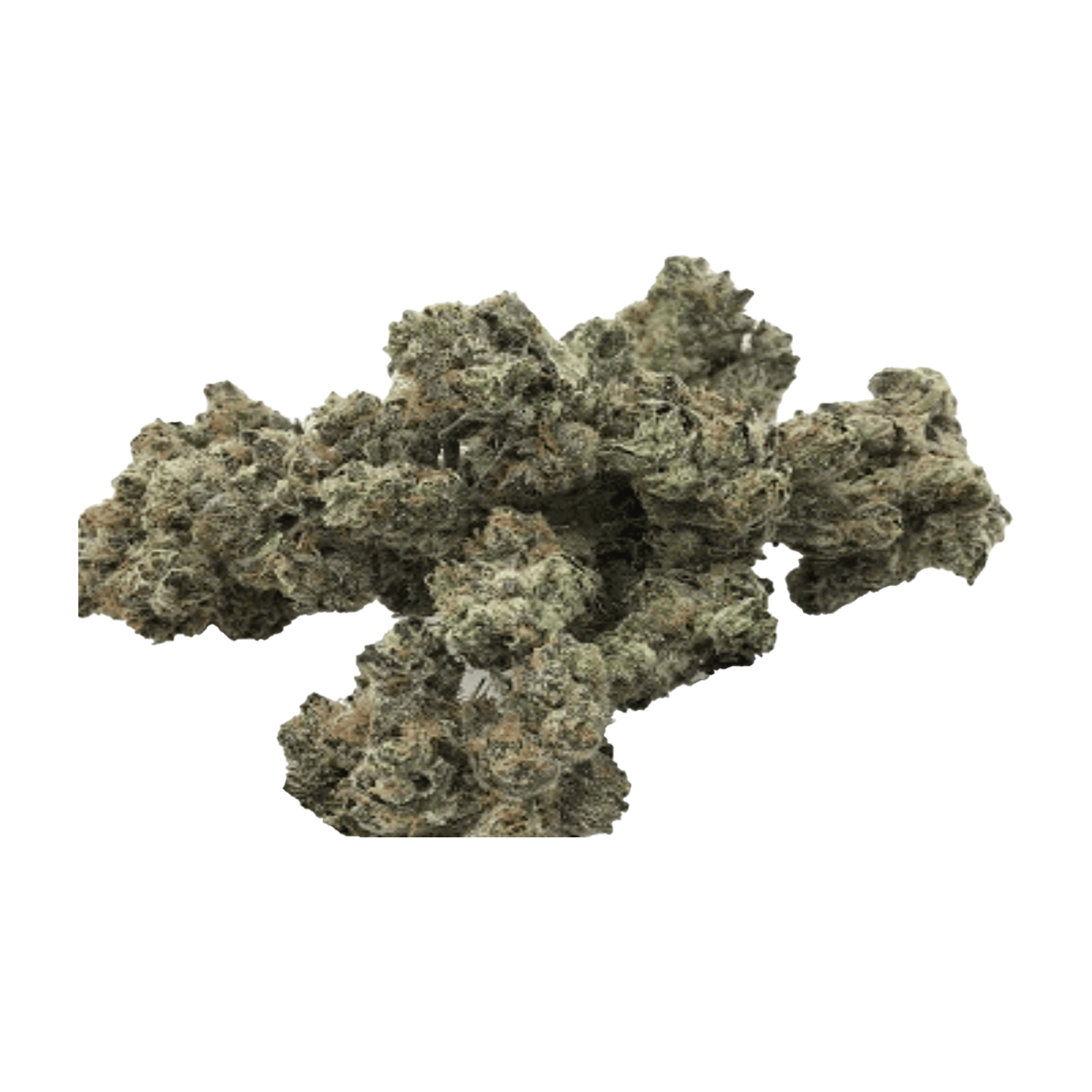 Dragonglass - Jar - Indoor Flower - Daze Off Powered by UpNorth - Eighth - $31.49 - 4mo+ Flower (Date in Description)