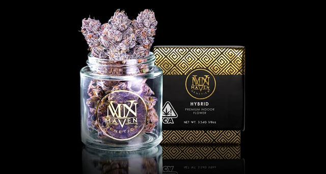 New Money
