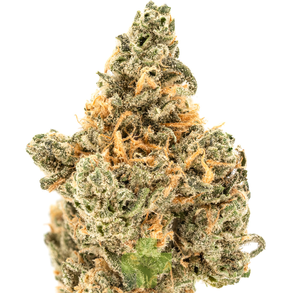 Aura — Blue Dream