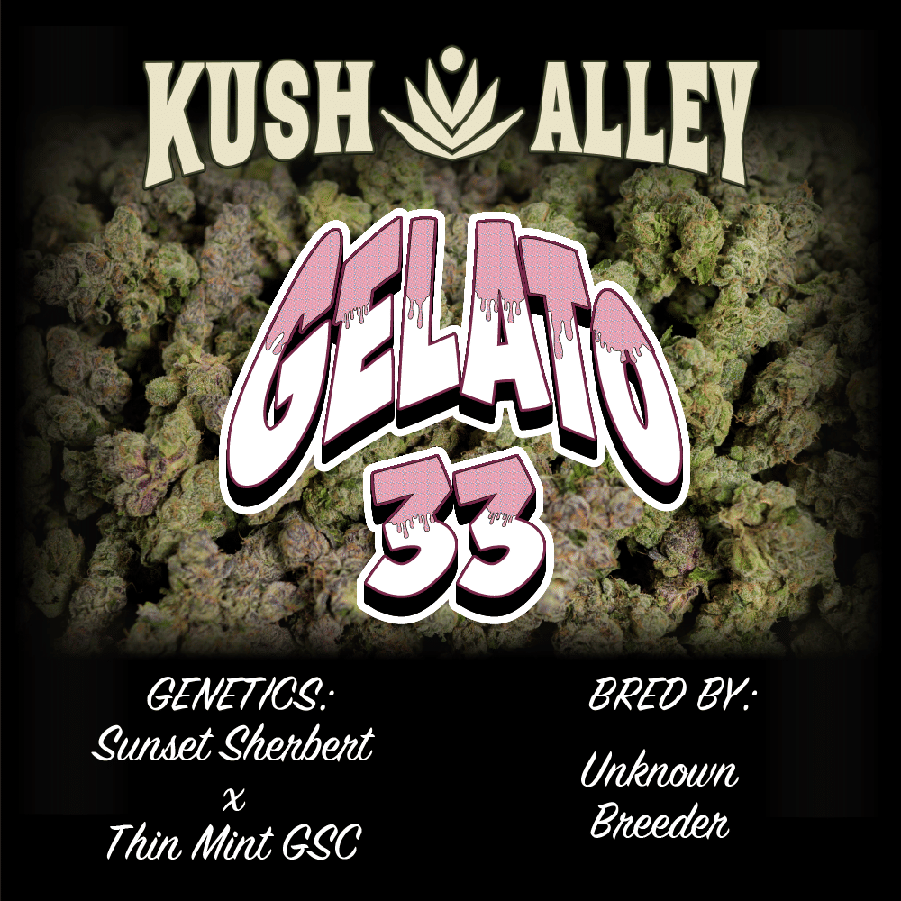 Gelato 33 - Kush Alley Premium - 4 Grams - $35 - Flower