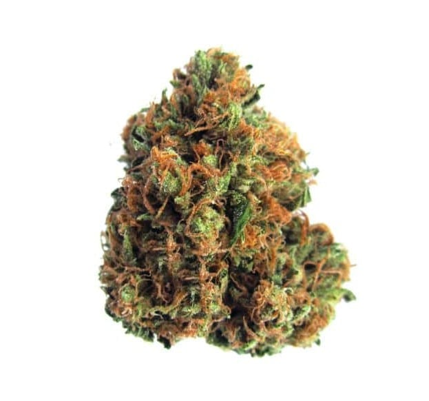 Bud Dynasty - 3.5g Top Shelf Flower - King Louie