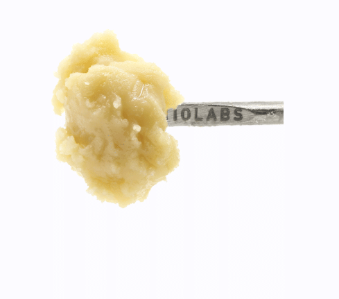 710 Labs: Rambutan #11 - Persy