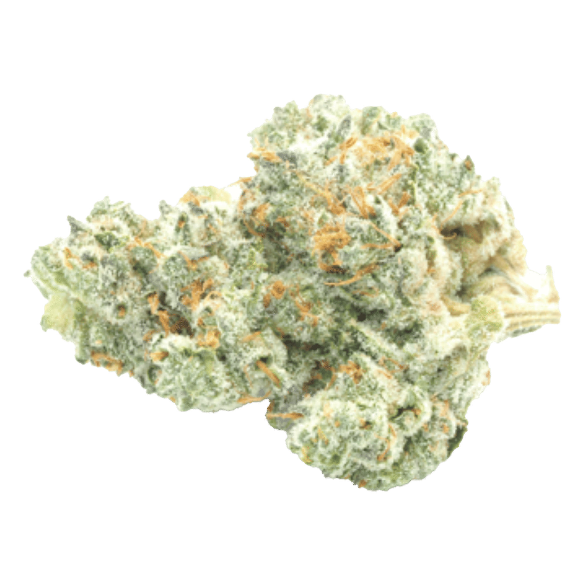 Jack Herer - Jar - Indoor Flower - Daze Off Powered by UpNorth - Eighth - $34.99 - Flower